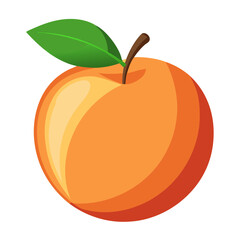 illustration of a peach