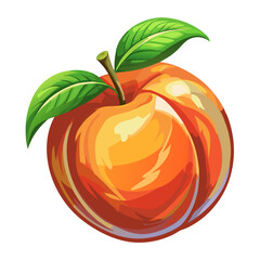 illustration of a peach