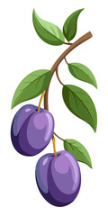 illustration of plums on branch