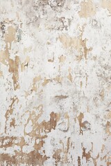 Fototapeta premium Concrete cement cracked wall texture for background 