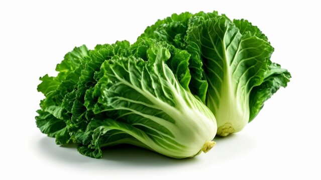  Fresh vibrant green leafy vegetable
