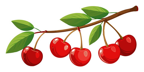 cherries on a branch © Waliul