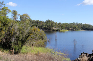 View of Lake Monduran with water, trees, shrubs and grass under a clear blue sky in Queensland, Australia
