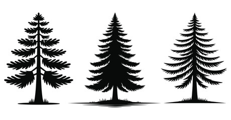 Fototapeta premium Set of Pine Tree silhouettes vector illustration Isolated on White Background