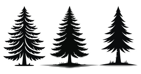 Set of Pine Tree silhouettes vector illustration Isolated on White Background