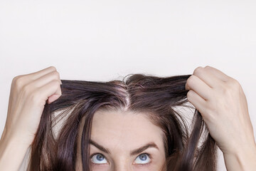 Fototapeta premium Caucasian brunette woman shows grown gray hair. Isolated on white background. Close up