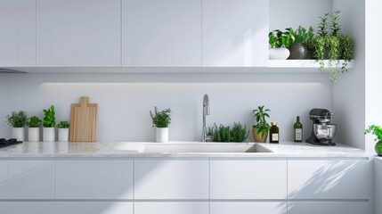 A contemporary kitchen with white cabinets, a stainless steel sink, faucet, and mixer, and a countertop with potted plants.