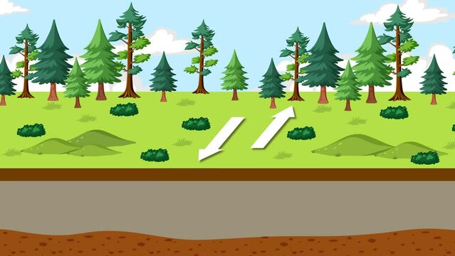 Transform Boundaries Animation