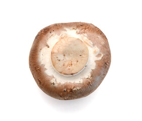Common mushrooms on white background