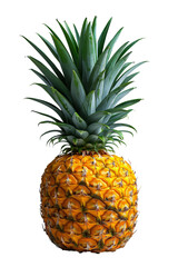 Fototapeta premium A pineapple isolated on transparent background