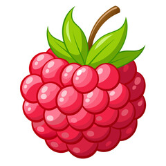 illustration of raspberry with leaves