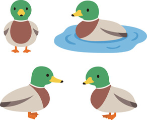シンプルでかわいい鴨のイラストセット(オス)