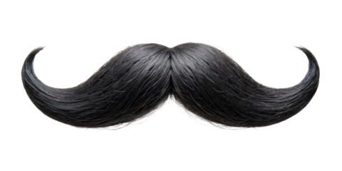 black moustache isolated on transparent background