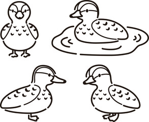 シンプルでかわいい鴨のイラストセット(メス)