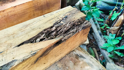 a bad piece of wood at the end. Pile of wood scraps cut up, or ready to be re-used and recycled. Close up of male hands chopping birch firewood on a hydraulic wood splitter.