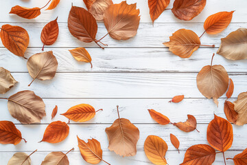Autumn Background with Brown and Orange Leaves on a White Wooden Table. Top View Flat Lay Design Concept with Copy Space in Sunny Feminine Light.