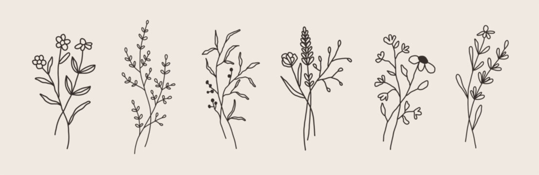 Set of flower line art bouquets. Floral sketch plant. Spring hand drawn leaf. Minimal floral abstract leaves design. Wedding logo. Vector illustration in outline style