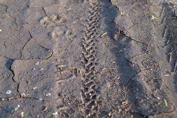Mountain bike tire tracks on wet ground