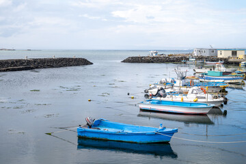 Fototapeta premium 제주도,휴가,풍경,평화로움,올레길