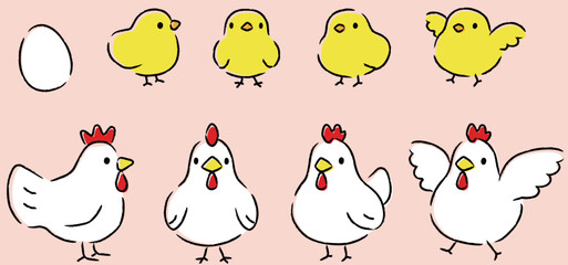 シンプルでかわいい鶏とひよこのイラストセット © ナナメニコ