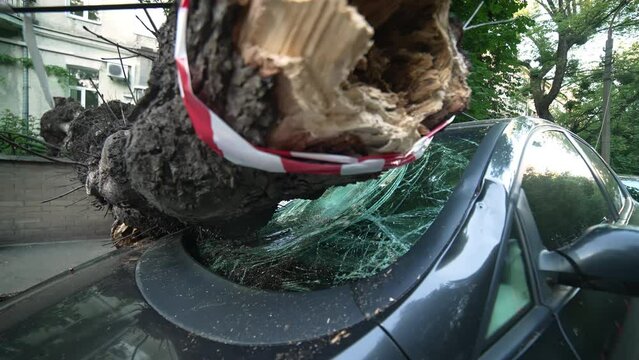 Severe weather caused a large tree to fall on a parked car, shattering the windshield and causing extensive damage. The area is secured with caution tape for safety and repair