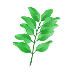 Watercolor realistic Monochromatic tropical leaves design