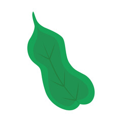 Green leaves icon in cartoon style isolated on white