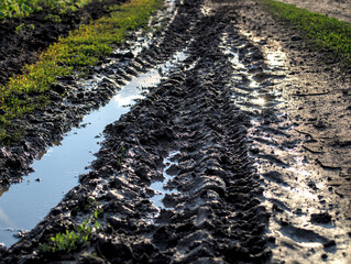 A muddy puddle on a dirt road © Александр Гичко