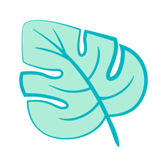 Hand drawn doodle monstera tropical leaf icon on white background