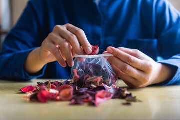 A woman puts potpourri into a mesh bag, aromatherapy sachet of dried colorful roses petals. Scented...