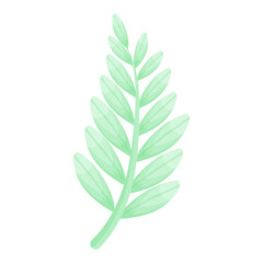 Tropical flower and leave illustration on white background