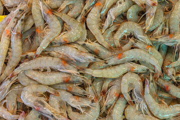 fresh shrimps at the fish market. prawns.