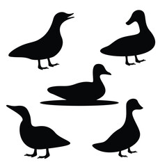 Set of duck silhouette on white background