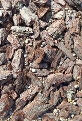 bark with small stones
