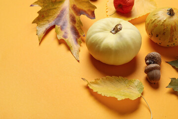 Composition with ripe pumpkins and natural forest decor on color background