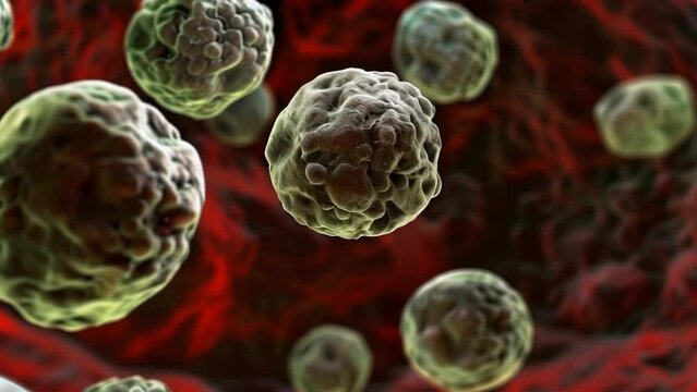 Detailed 3D illustration of spherical bacteria-like structures floating with a blurred background, resembling microscopic imagery