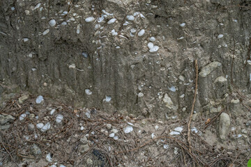 Shell fragments in the sand，Beach deposits / Well-sorted sand and gravel, Kahana bay, HONOLULU, OAHU, HAWAII GEOLOGY	 