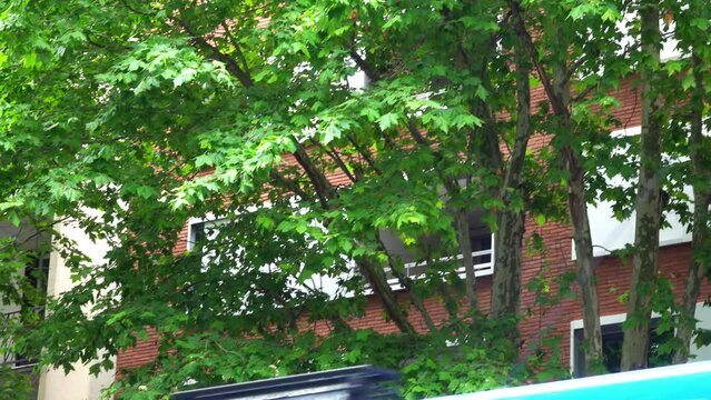Police car with special signals and special forces car on a city street