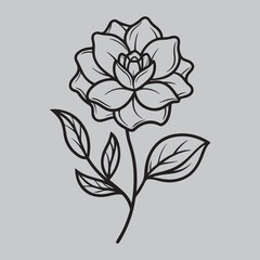 Flower Silhouette. Flower Vector Line Art. Flowers icon set. Flowers isolated on transparent background. Flowers in modern simple. Cute round flower plant nature collection. Vector illustrator.