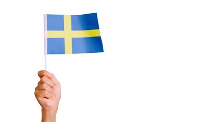 Wind waving a swedish pennant holding by a person