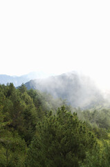 Obraz premium fog in the mountains