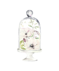 Delicate white poppies under a glass cap, watercolor isolated illustration on white background, hand painting print for invitation or greeting cards.
