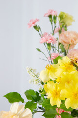 summer beautiful  flowers on white background
