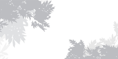 Soft shadows of tree leaves on wall and blurred. Shadows of tropical trees. copy space transparent background with png
