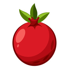 illustration of pomegranate