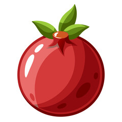 illustration of pomegranate