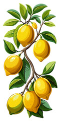 illustration of a branch with lemons