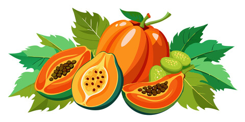 papaya fruit illustration