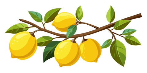 lemon branch © Waliul