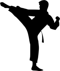 Illustration Taekwondo athlete silhouette. Silhouette of martial art
